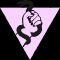 Transgress the NGS Campaign